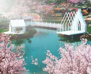 “五一”近郊游又添新选项 长江新区仓埠四大景点联动迎客