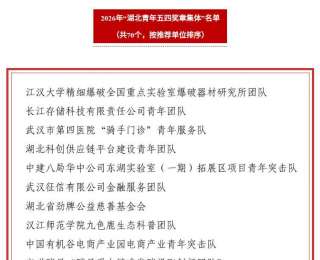 服务超90万人次！三职“蓝叮咚”获评湖北青年五四奖章集体