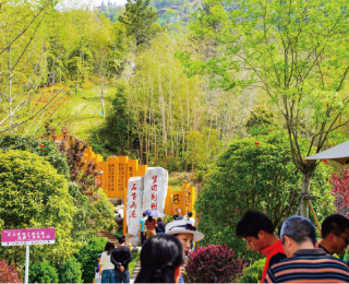 石首：鹿角峰景区“绿色山野+特色活动”引客来