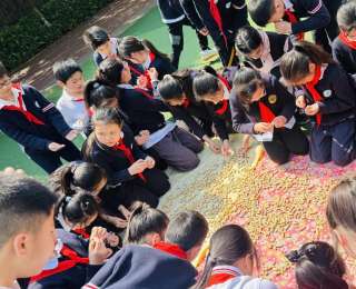 从指尖竞技到变废为宝，看博雅小学如何让劳动教育“活”起来