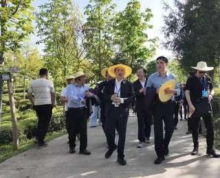 不施农药、牛粪还田，利川这座千米高山茶园凭原生态获外宾好评