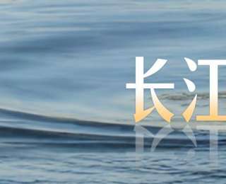 一头江豚回归的理念之变——江豚从两端向市区“前进”