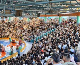 五一假期人气爆棚 武汉极地海洋度假区迎客超15万人次