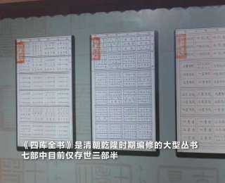 台湾嘉宾在甘肃兰州探访文溯阁本《四库全书》