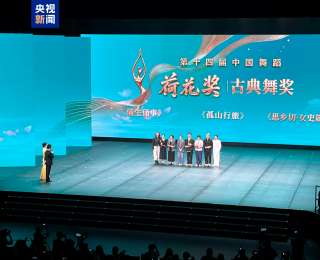 第十四届中国舞蹈荷花奖揭晓 19部作品获奖