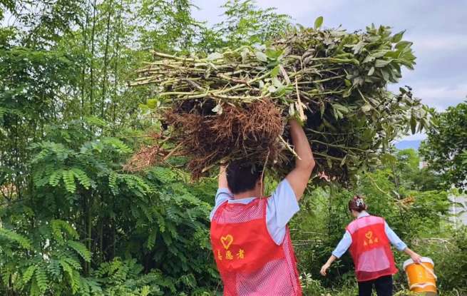 抢收地里的，陪伴家里的！湖北交投志愿者走进夏沟村