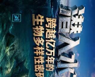 长图丨潜入水下：跨越亿万年的生物多样性密码