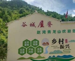 攀上海拔1584米！解锁谷城这处避世古村：古树、云海、天麻香