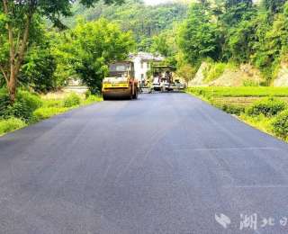 竹山县竹坪乡：茶园铺油路，茶农乐悠悠