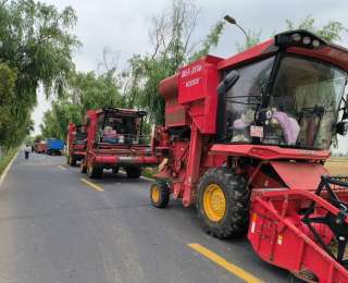 雨口夺粮 襄阳全城行动！有老板暂停营业助农抢收