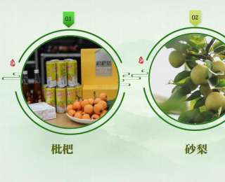 通山发布“三果鼎立”水果产业品牌战略，枇杷、砂梨、柑橘三产联动擎起亿元格局