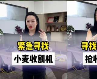 卖车的女主播把直播间开进麦田，江苏农机手连夜驱车1000多公里带着4台收割机来收麦
