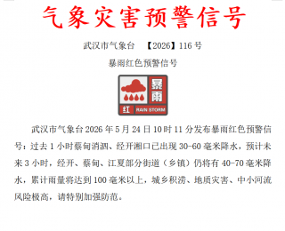 未来3小时，武汉部分地区累计最大雨量将达100毫米以上