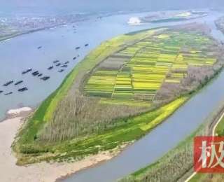 嘉鱼“河湖长+检察长”协同共治护安澜